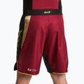 Herren-Trainingsshorts HOOK FIGHTING Ready To Spar rot 2