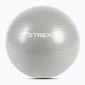 TREXO Gymball TXO-B4Z007-GY 55 cm grau