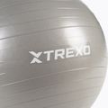 TREXO Gymball TXO-B4Z007-GY 55 cm grau 6