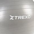 TREXO Gymball TXO-B4Z008-GY 65 cm grau 5