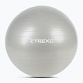 Gymnastikball XTREXO TXO-B4Z009-GY 75 cm Grau