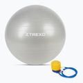 Gymnastikball XTREXO TXO-B4Z009-GY 75 cm Grau 7
