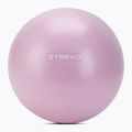 Mini Gymnastikball XTREXO TXO-B4Z011-VT 25 cm Lila