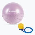 TREXO TXO-B4Z020-VT 55 cm lila Massage-Gymnastikball