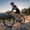 Damen-Mountainbike ATTABO ALPE 1.0 17" grau 6