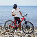 ATTABO Herren-Mountainbike ALPE 1.0 19" rot 3