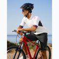 ATTABO Herren-Mountainbike ALPE 1.0 19" rot 5