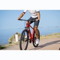 ATTABO Herren-Mountainbike ALPE 1.0 19" rot 9