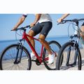 ATTABO Herren-Mountainbike ALPE 1.0 19" rot 10