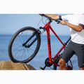 ATTABO Herren-Mountainbike ALPE 1.0 19" rot 11