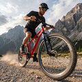 ATTABO Herren-Mountainbike ALPE 1.0 19" rot 5