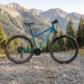 Damen Mountainbike ATTABO ALPE 3.0 17" grün 3