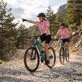 Damen Mountainbike ATTABO ALPE 3.0 17" grün 7