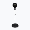 Abteilung B-2 freistehende Boxen perlschwarz DIV-2260RB