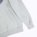Hoodie Herren PROSTO Hoodie Aiz gray 4