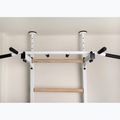 Gymnastikleiter Turnleiter BenchK 523W white matte/oak 7