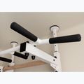 Gymnastikleiter Turnleiter BenchK 523W white matte/oak 10