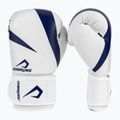 Boxhandschuhe Overlord Riven biało_Blau 2