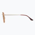 GOG Elektra matt braun demi/gold Sonnenbrille 3