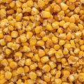 Futtermais Carp Target Truskawka + Eimer 10 l 5