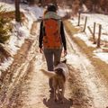 Wanderrucksack Alpinus Teno 24 l orange 3