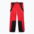 Herren-Skihose 4F 2