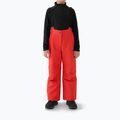 Kinder-Skihose 4F Fnk M0949 red