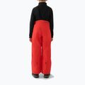 Kinder-Skihose 4F Fnk M0949 red 2