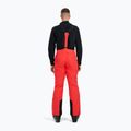 Herren Skihose 4F Fnk M0928 red 3