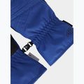 Skihandschuhe 4F Fnk F159 cobalt 2