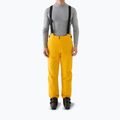 Herren-Skihose 4F Fnk M1086 yellow