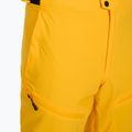 Herren-Skihose 4F Fnk M1086 yellow 7