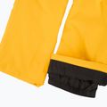 Herren-Skihose 4F Fnk M1086 yellow 9