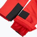Herren-Skihose 4F Fnk M1155 red 5