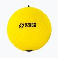 Reflexbälle StormCloud Reflex Ball Duo yellow/black 3