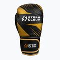 Boxhandschuhe StormCloud Lynx 2.0 black/gold 4