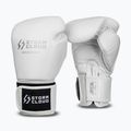 Boxhandschuhe StormCloud Muay Thai Blizzard 2.0 white/silver