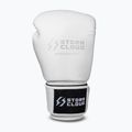 Boxhandschuhe StormCloud Muay Thai Blizzard 2.0 white/silver 2