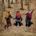 Wanderrucksack Alpinus Tarfala 35 l mustard 4