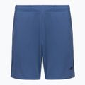 Kindershorts 4F The Gym Power FNK M1388 navy
