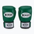 Boxhandschuhe WINDY Classic Genuine Leather green 2