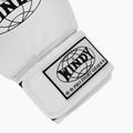 Boxhandschuhe WINDY Classic Synthetic Leather white 6