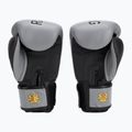 Boxhandschuhe RAJA BOXING "Porshe Design" 2