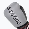 Boxhandschuhe RAJA BOXING "Porshe Design" 5