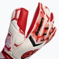 4Keepers Force V 4.20 HB Torwarthandschuhe rot und weiß 4KEEPERS-4342 3