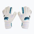 Kinder-Torwarthandschuhe 4Keepers Champ Aq Contact V Rf weiß