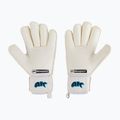 Kinder-Torwarthandschuhe 4Keepers Champ Aq Contact V Rf weiß 2