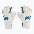 4Keepers Champ Aqua V Rf Torwarthandschuhe weiß und blau