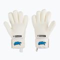 4Keepers Champ Aqua V Nc Torwarthandschuhe weiß und blau 2
