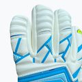 Torwarthandschuhe Kinder 4keepers Force V1.25 FURY HNC Jr Blaue 3